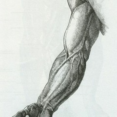 DXVEMANE - COCO JAMBO (PHONK REMIX)