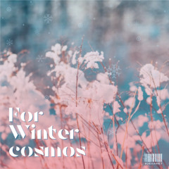 For Wintercosmos