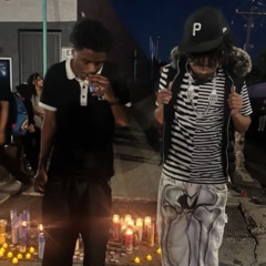 tdf type shi