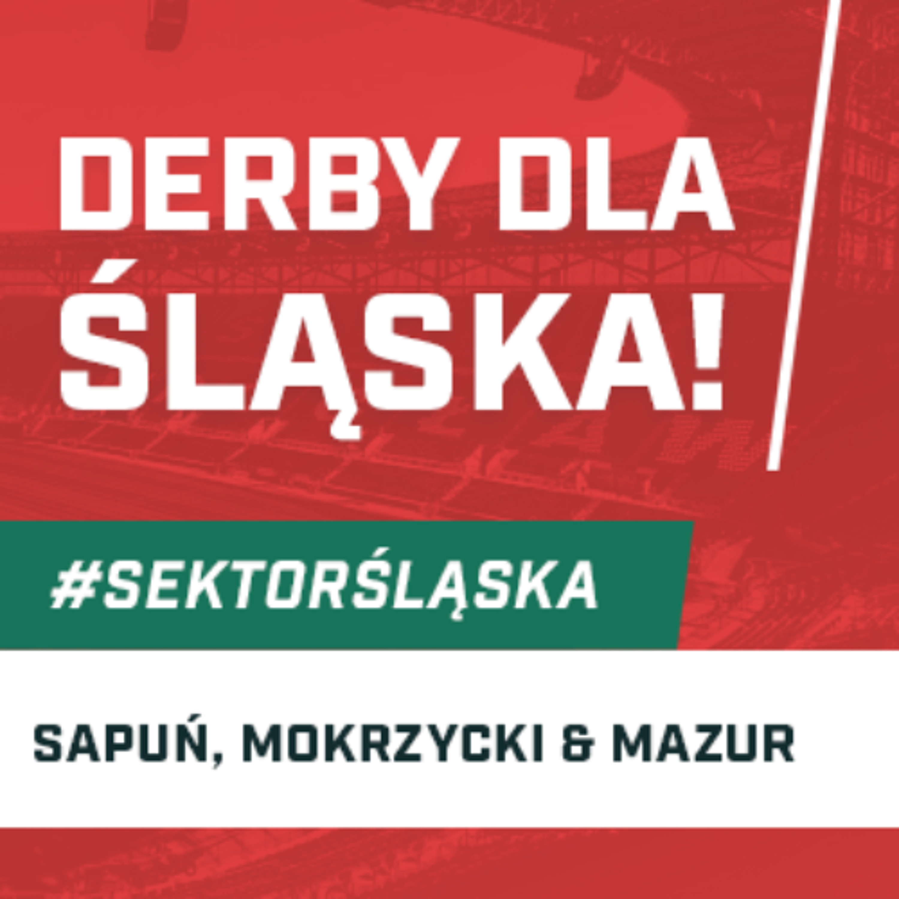 Śląsknet
