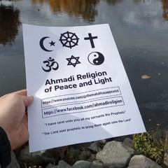 November morning drops