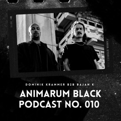 ABP No. 010 - Dominik Krammer B2B Bajan K