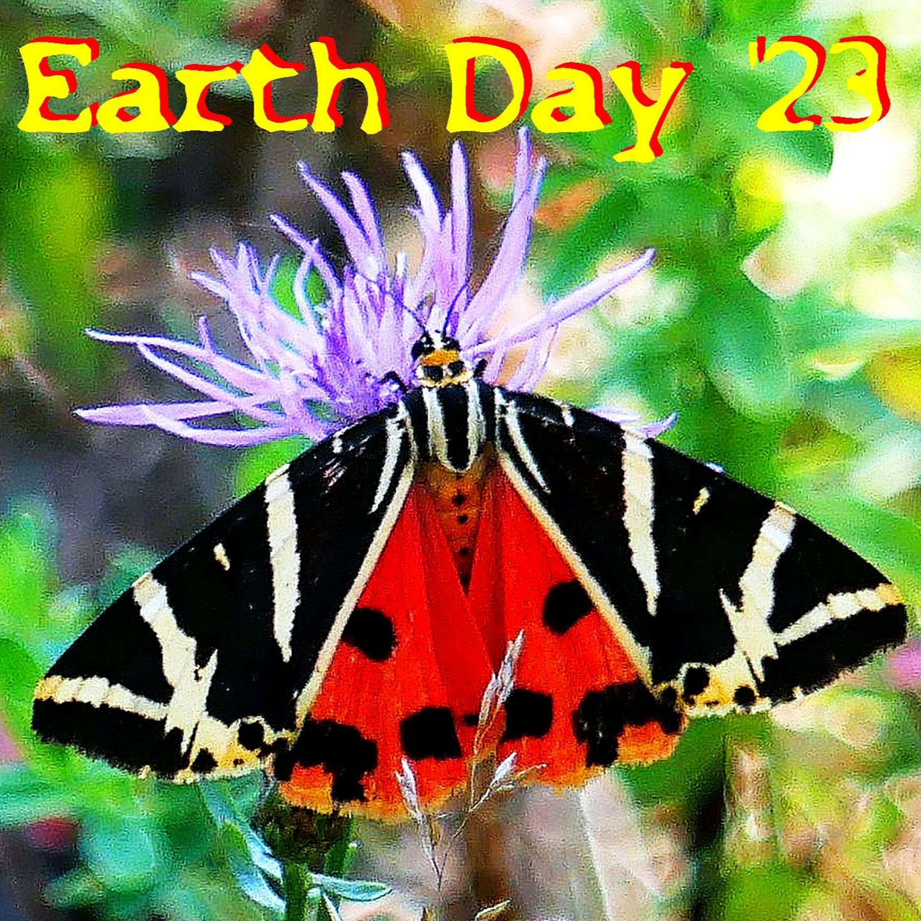 Follow Your Earth - EARTH DAY, April 22 episode artwork