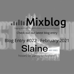 #022 - Blog Entry February 2021 - Slaine (Ghost Snares)