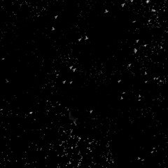 Carla Morrison - disfruto | angst Bootleg