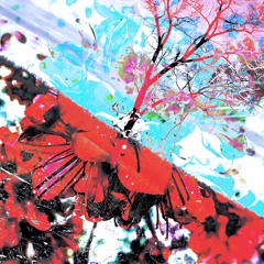 TSUNAMI MIXXX [7/26/24]