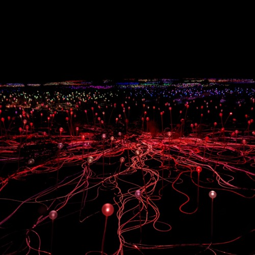 Poorly programmed cells