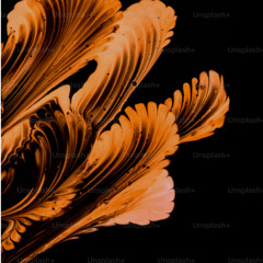 Alternative Freestyle (2)