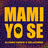 Télécharger la video: Alvaro Varen, Delatorre - Mami Yo Se (Extended) FREE DOWNLOAD