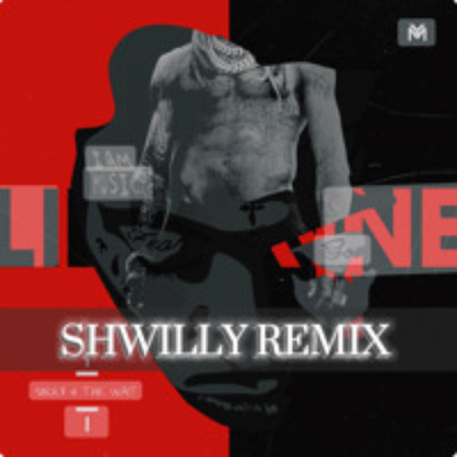 lil Wayne-Sorry 4 The Wait (SHWIŁŁY) remix