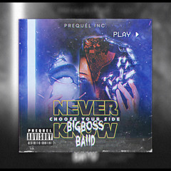 BigBoss Baiid- Never Know