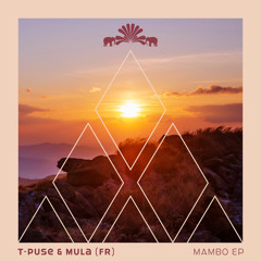 T-Puse & Mula (FR) - Mambo (Original)