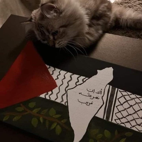 سورة_الكهف_كاملة_بصوت_الشيخ_فارس_عباد_-_جودة_عالية_HD(128k).m4a