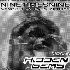 Various Artists - Hidden Gems Vol. 4 (previews) [NTND014]