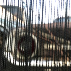 You Know Who You Are, And So Do I