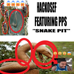 Snake Pit ft PPS