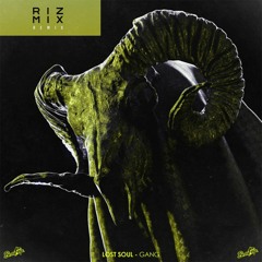 Lost Soul - Gang (Rizmix Remix)