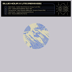 First Listen - Tracing Xircles - Gaia's Reqieum (Mikkel Rev 'Temple Of Dreams' Mix) (BLUE HOUR)
