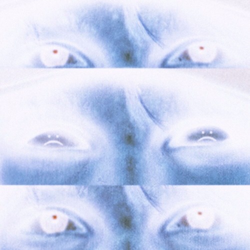 Richard Shelest- Say Cheese