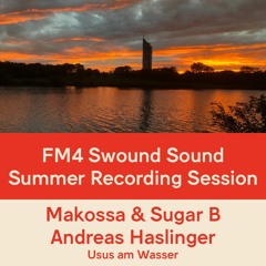 FM4 Swound Sound #1348