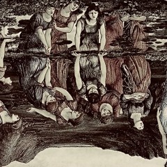 Narcissus
