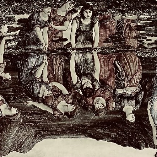 Narcissus