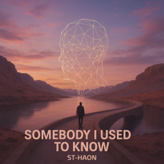 Somebody That I Used To Know