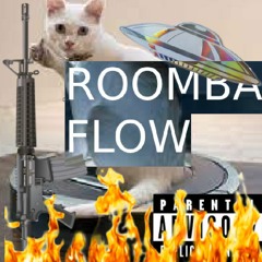 Roomba Flow