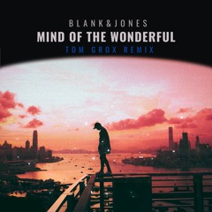 Blank&Jones feat. Elles - Mind Of The Wonderful (Tom Grox Remix)[FREE DOWNLOAD]