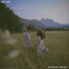 the reason i love you (ft. Neonx)