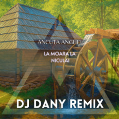 La Moara la Niculai (DJ DANY REMIX)[Extended]