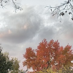 "DownFall” - Envy_333