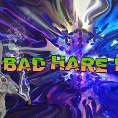 BAD HARE DAY EASTER 8-10AM SAT MORNING DNB HOUSE SET
