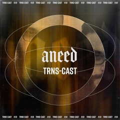 TRNS-cast 018 | Aneed