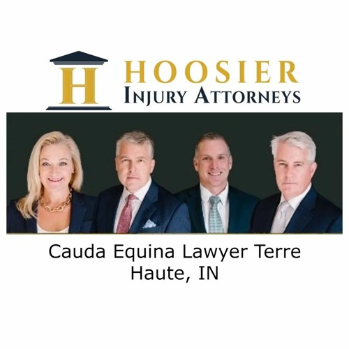 Cauda Equina Lawyer Terre Haute, IN
