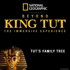 Tut's Family Tree
