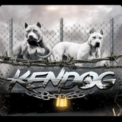 Kendog - Reds & Blues