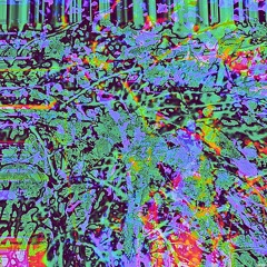 Merged / Part 1 / I'm Not Afraid