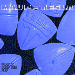 Mau P - Tesla (PLAT. x DEEP SEE Flip)
