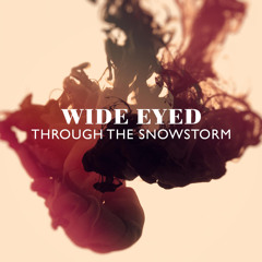 Through The Snowstorm