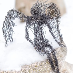 Watch the Angel Not the Wire