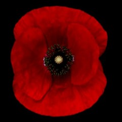 Coquelicot