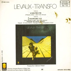 LIEVAUX / TRANSFO : Pauvre mec