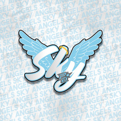 Sky Angels 2023-2024