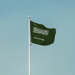 Saudi Game ( FREE DOWNLOAD )