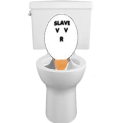 slave.v-v-r