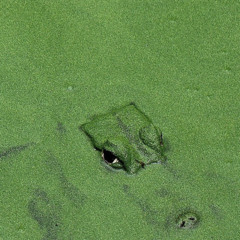 krizo type beat feat 3Roken3eats