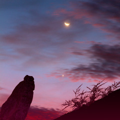 Transit of Venus