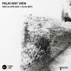 Palm Way View - 02 April 2025