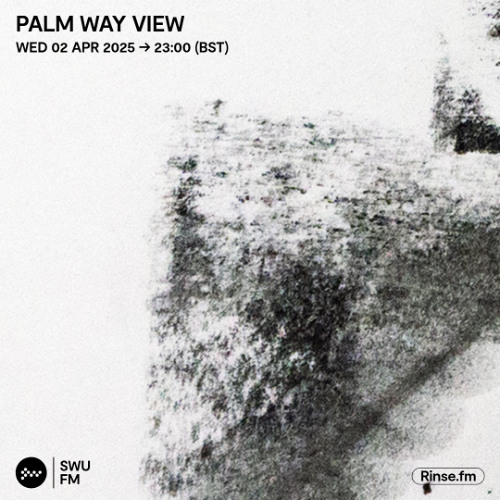 Palm Way View - 02 April 2025